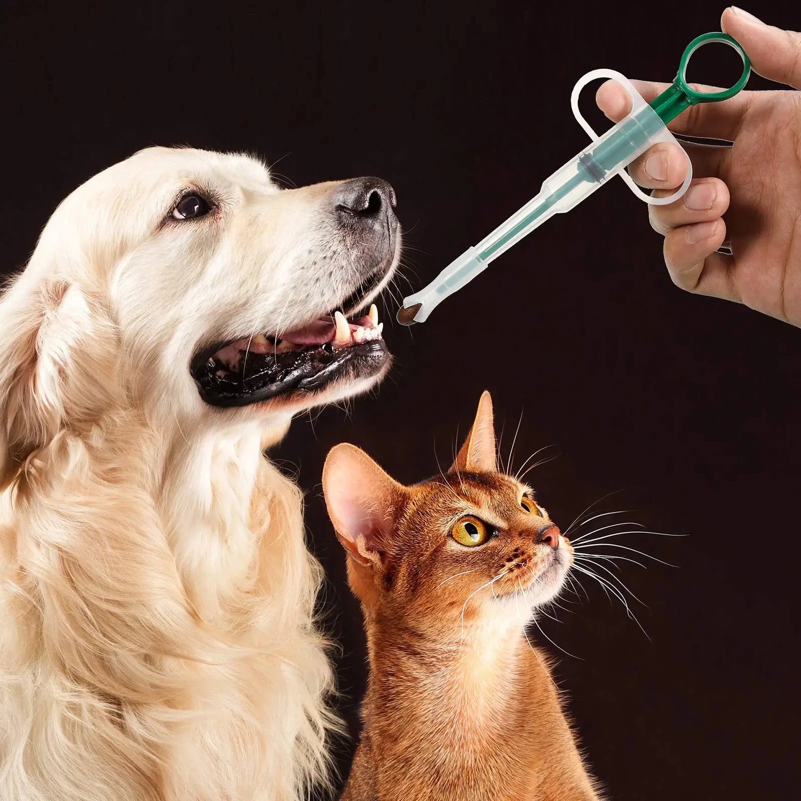 Dispensador de medicação para animais de estimação, bastão de alimentação para gatos e cães, comprimidos para comer, artefatos de medicação.
