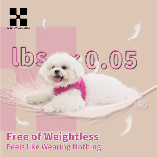 Conjunto de Peitoral e Guia para Cães Pequenos e Médios – Arnês Ajustável e Refletivo para Filhotes e Gatos, Colete para Animais de Estimação, ideal para Chihuahuas, Dachshunds e Passeios ao Ar Livre